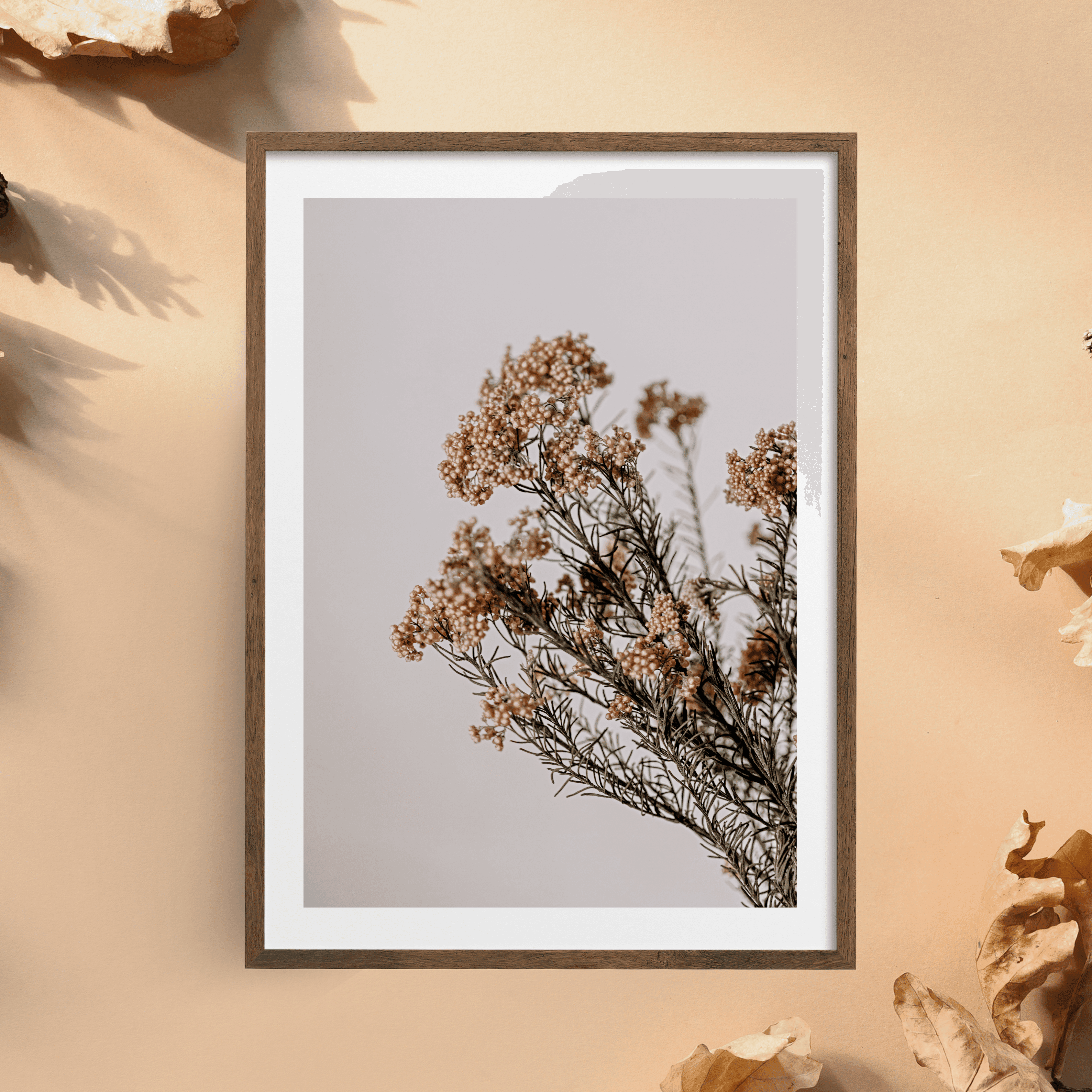 Dried Floral Botanical Frame